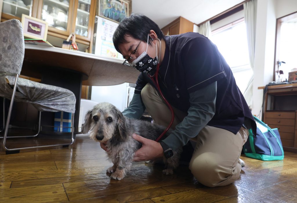 はる動物診療所 櫻井崇史 院長 診察風景