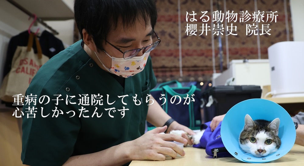 はる動物診療所 櫻井崇史 院長